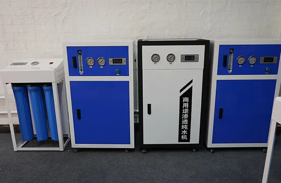  800g Commercial Water Purifier Machine for Purificador De Agua Pura